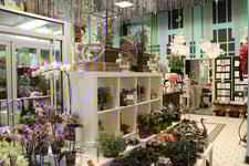 locally-sourced-party-planning-in-boston locally-sourced-party-planning-in-boston